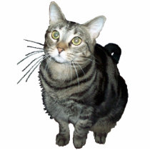 Tabby cat shaped magnet/ornament/keychain acrylic cut out