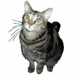 Tabby cat shaped magnet/ornament/keychain photo sculptures
