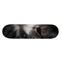 Tabby Cat Skateboard