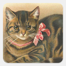 "Tabby Cat" Sticker