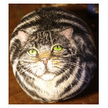 Tabby Cat t-shirts
