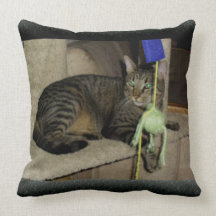 Tabby cats pillow