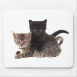 tabby kitten black kitten mousepads