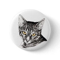 Tabby Kitten Sketch