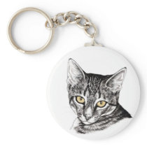 Tabby Kitten Sketch