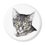 Tabby Kitten Sketch