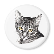 Tabby Kitten Sketch