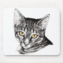 Tabby Kitten Sketch