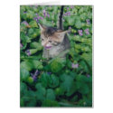 Tabby Kitten With Violet Smile cards