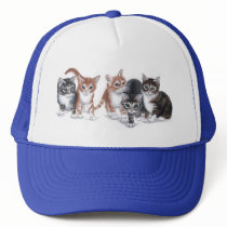 tabby kittens hat