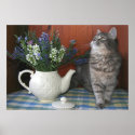 Tabby & Teapot posters