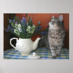 Tabby & Teapot Posters