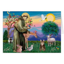 Tabby Tiger Cat - Saint Francis Cards