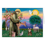 Tabby Tiger Cat - Saint Francis cards