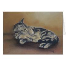 Tabby Tummy Cat Art Note Card