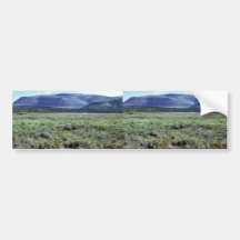 Table Mountain in Summer Bumper Stickers