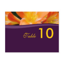 Table Number Postcard
