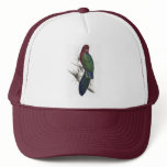 Tabuan Parrakeet by Edward Lear hats