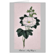 Tachi aoi - May Ukiyo-e. Card