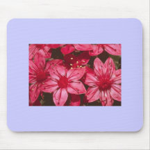 Tacitus Bellus Mouse Pads