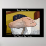 Tae Kwon Do Poster posters