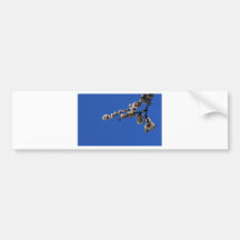 tagoudis_vassilis_''Spring 1''.JPG Bumper Stickers