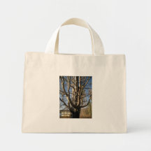 Tahoe 075, use this bag. save a tree.