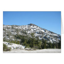 Tahoe Cards