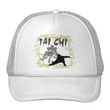 TAI CHI T-Shirts Mesh Hat