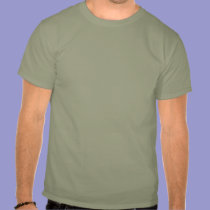 T'ai Ji Chuan T-Shirt t-shirts