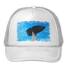 Tail of a Whale Baseball Hat
