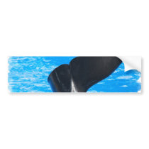 Tail of a Whale Bumper Stickers