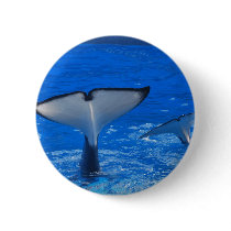 Tail of a Whale Button