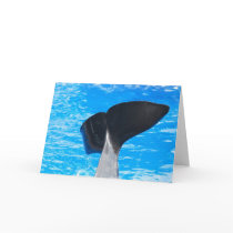 Tail of a Whale Greeting Cards
