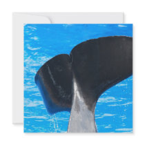 Tail of a Whale Invitations