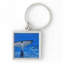 Tail of a Whale Keychain