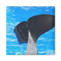 Tail of a Whale Magnet