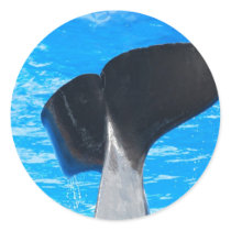 Tail of a Whale Stickers