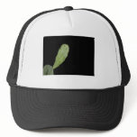 tail of pain hat