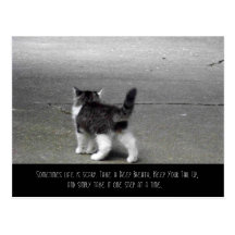 Tail Up (Kitten) Postcard