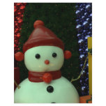Taiwanese snowman full color flyer