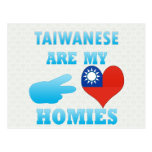 Taiwaneses are my Homies Post Card