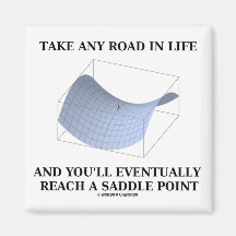 Take Any Road In Life Reach A Saddle Point (Math) Fridge Magnets