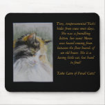 Take Care of Feral Cats! Calico Yoshi mousepads