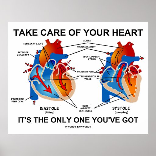 Take Care Of Your Heart It's The Only One You've Print