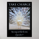 Take Charge posters