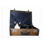 Take me with you post card