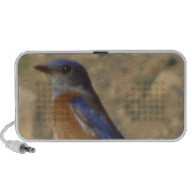 Take my Picture iPhone Speaker