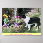 TAKE TIME TO SMELL THE FLOWERS -COLLIE PUP PRINT