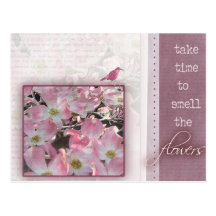Take time to smell the flowers post card